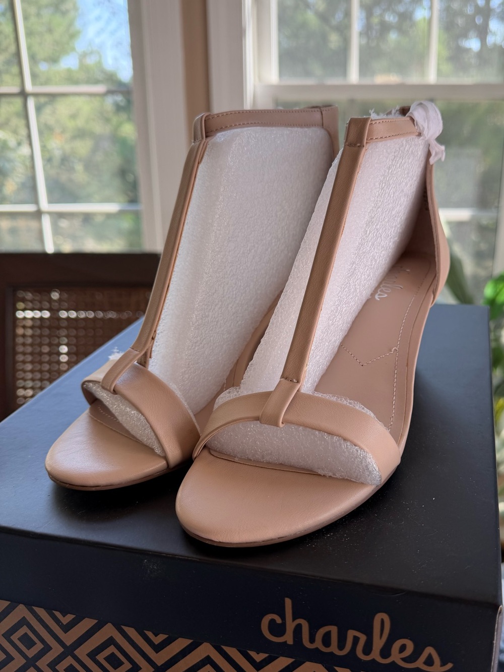 Charles By Charles David Blush T-Strap Open-Toe Heels